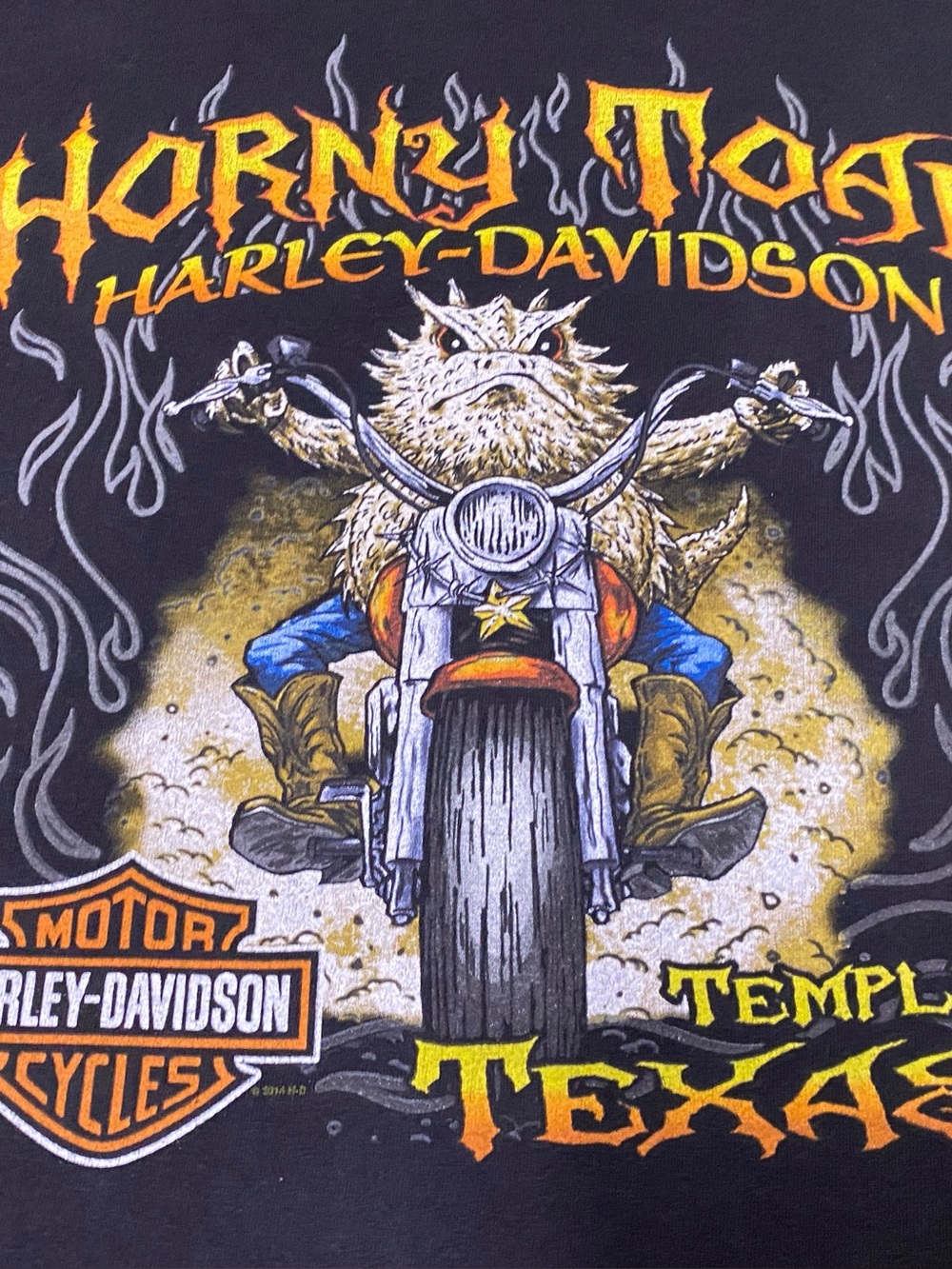 Vintage 2014 Men’s Harley Davidson T-Shirt Size XL Temple Texas Horny Toad Biker